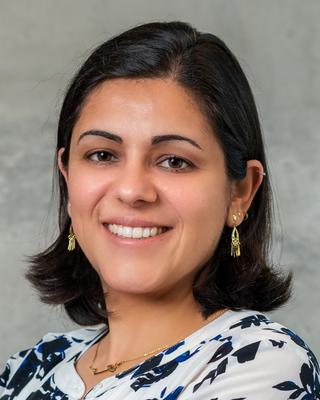 Headshot of Professor Hamad