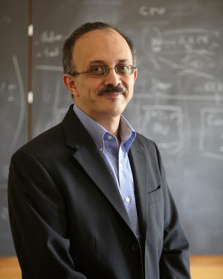 Headshot of Professor Fawzi